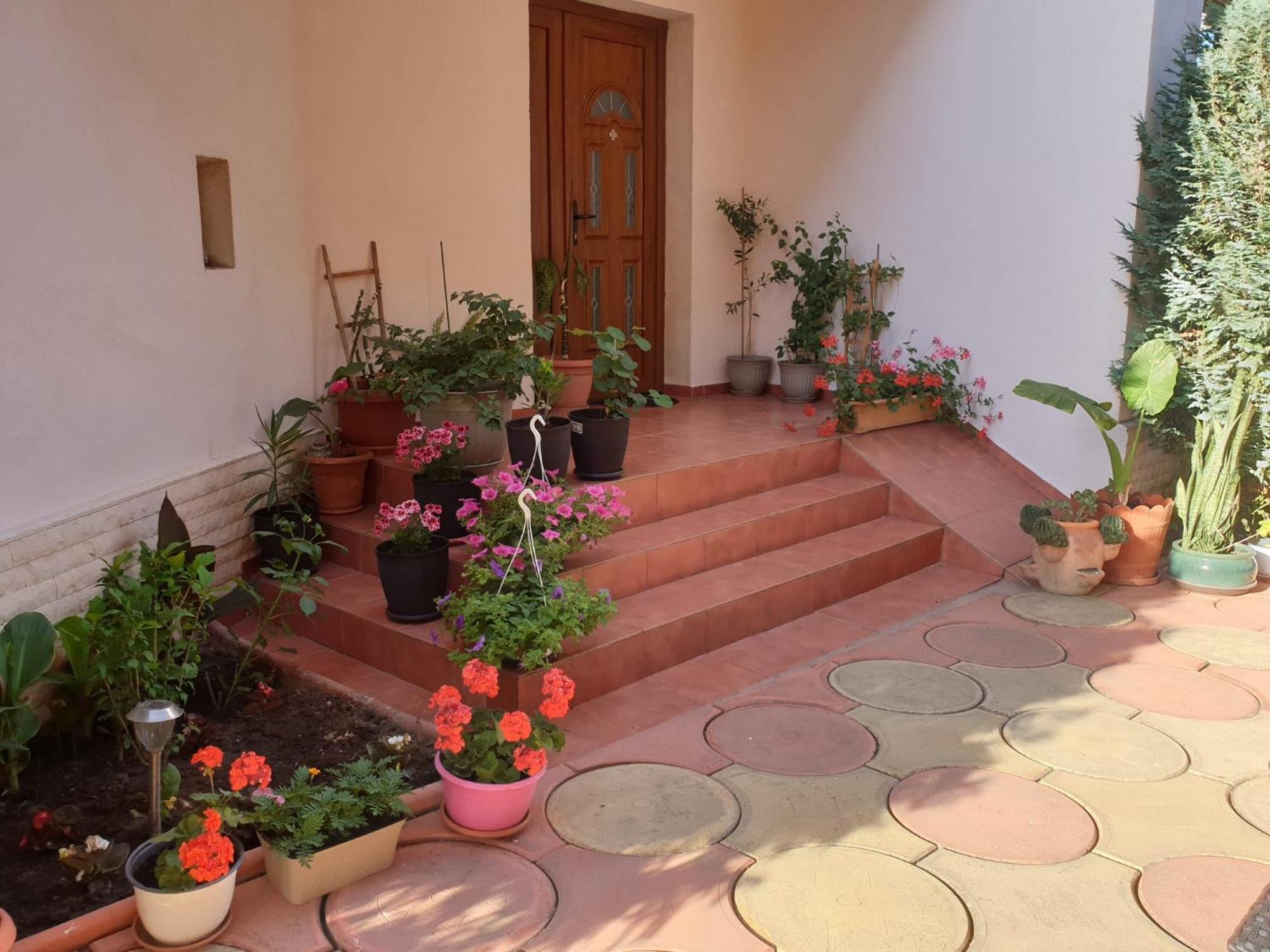 Casa Mary Otel Costinești Dış mekan fotoğraf