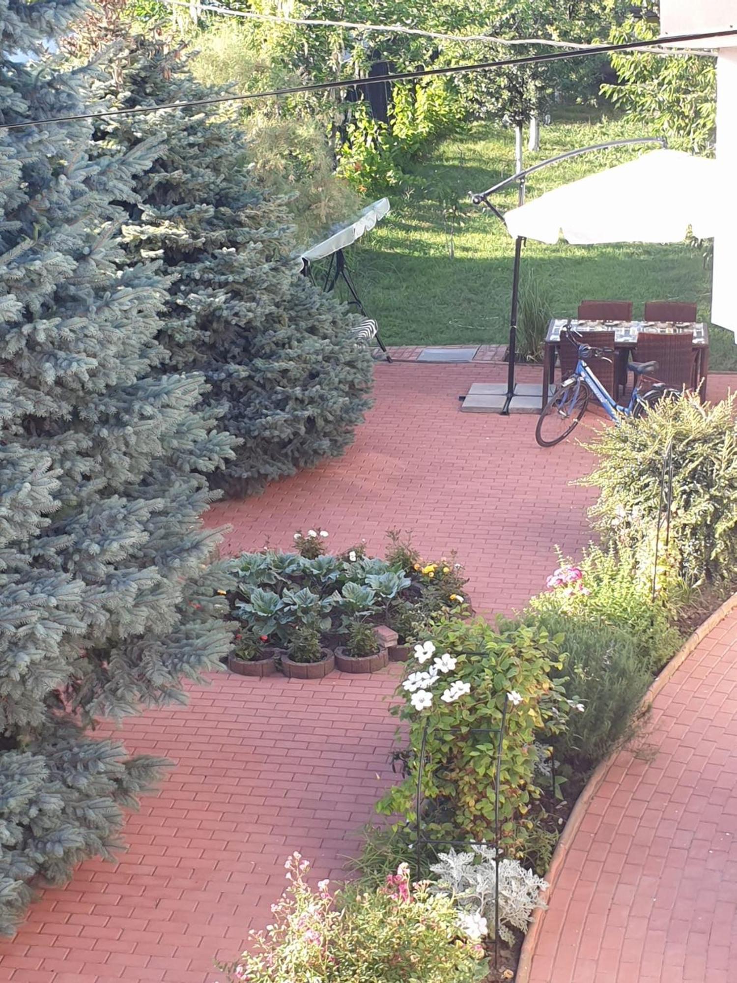 Casa Mary Otel Costinești Dış mekan fotoğraf