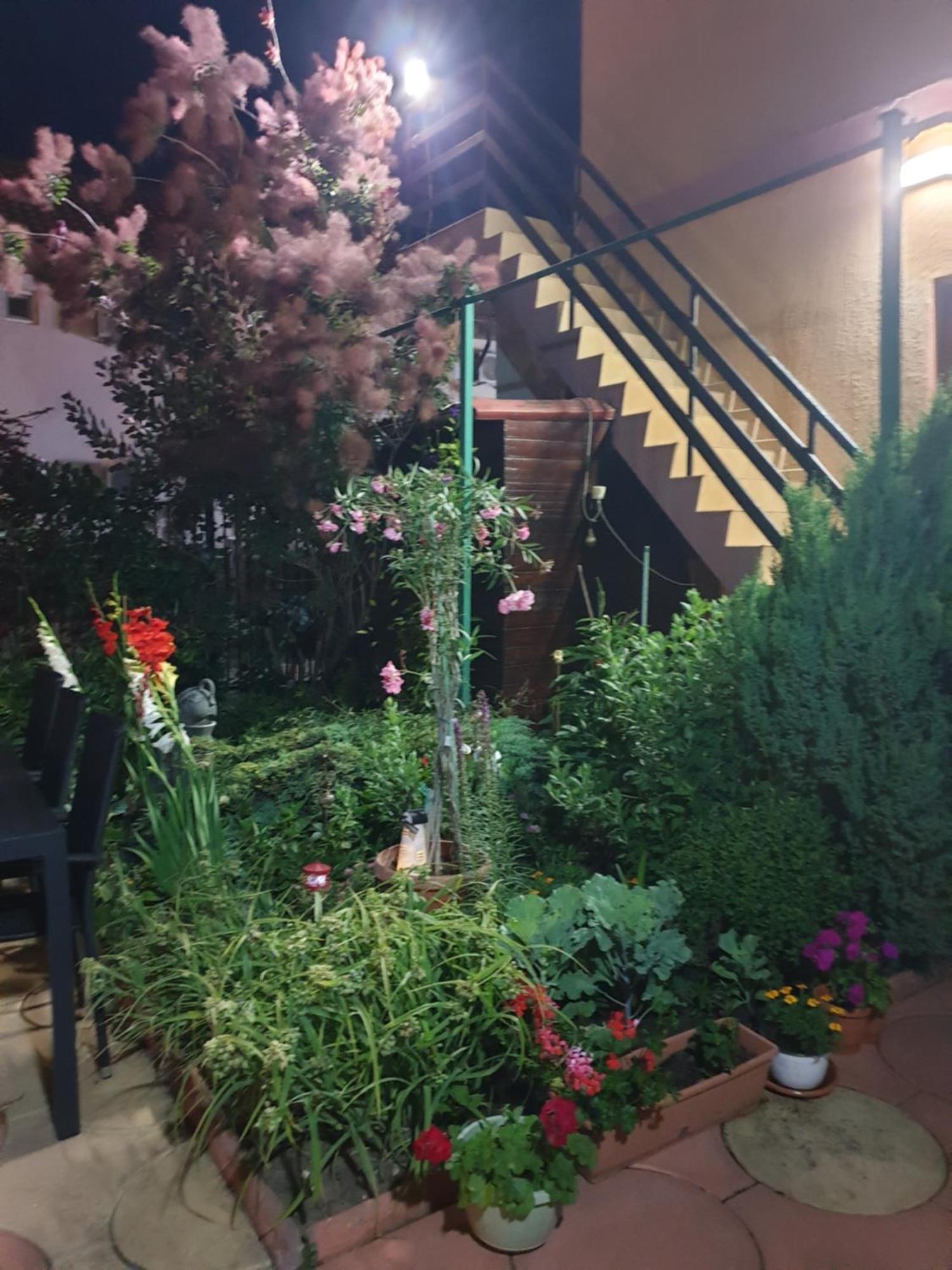 Casa Mary Otel Costinești Dış mekan fotoğraf